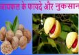 जायफल के फायदे-Nutmeg Benefits Hindi. जायफल खाने के उपयोग व नुकसान।