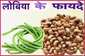 lobiya-ki-fali-ki-sabji-kahne-ke-fayde.