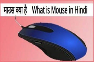 माउस के बटन की जानकारी हिंदी में-माउस क्या है? माउस के कितने बटन होते है?