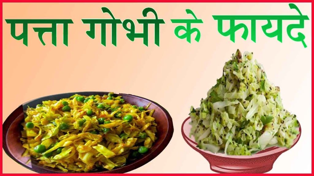 पत्ता गोभी खाने के 14 फायदे व नुकसान हिंदी में पत्ता गोभी खाने के 14 फायदे व नुकसान हिंदी में