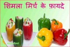 शिमला मिर्च खाने के फायदे गुण और लाभ। Shimla Mirch Sabji Khane Ke Fayde. Shimla Mirch Khane Ke Fayde In Hindi