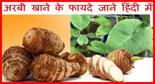 Arbi Khane ke Fayde-Arbi सब्जी - Taro Root के औषधीय लाभ Arbi Khane ke Fayde-Arbi सब्जी - Taro Root के औषधीय लाभ
