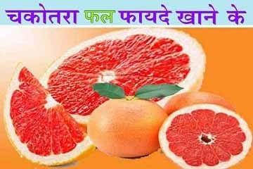 best-fruit-chkotra-in-hindi.