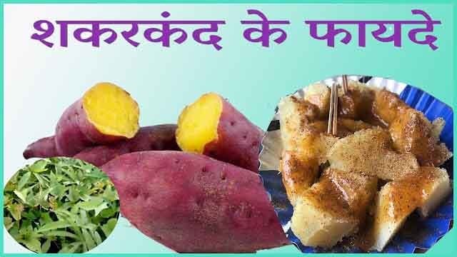 शकरकंद Sweet Potato (स्वीट पोटैटो) खाने के गुण, फायदे व नुकसान In Hindi. शकरकंद Sweet Potato (स्वीट पोटैटो) खाने के गुण, फायदे व नुकसान In Hindi.