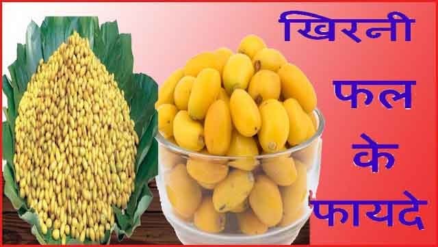खिरनी फल के फायदे व नुकसान hindi me खिरनी फल के फायदे व नुकसान