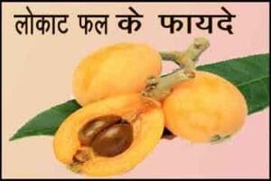 लोकाट फल के फायदे औषधीय गुण