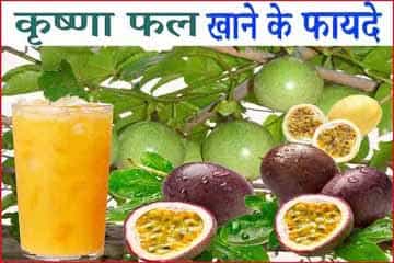 कृष्णा फल के फायदे