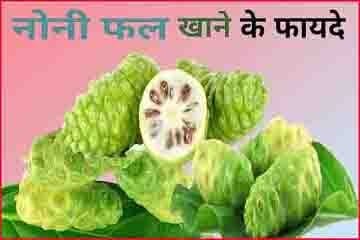 नोनी फल बीज के लिए खेती