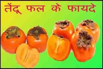 Tendu Fruit Khane Ke Gun Labh