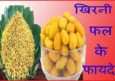 जिंदगी बदल देंगे खिरनी फल के फायदे व  नुकसान। Best Khirni Fruit In Hindi.