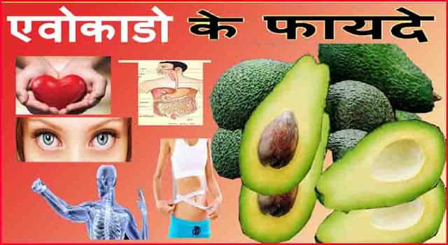 एवोकैडो फल के फायदे, औषधीय गुण और नुकसान हिंदी में एवोकैडो फल के फायदे, औषधीय गुण और नुकसान हिंदी में
