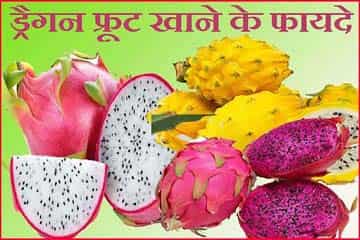 ड्रैगन फ्रूट के फायदे और नुकसान