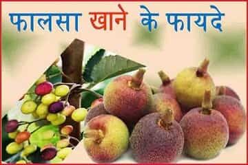 phalsa-fruit-health-benefits-hindi