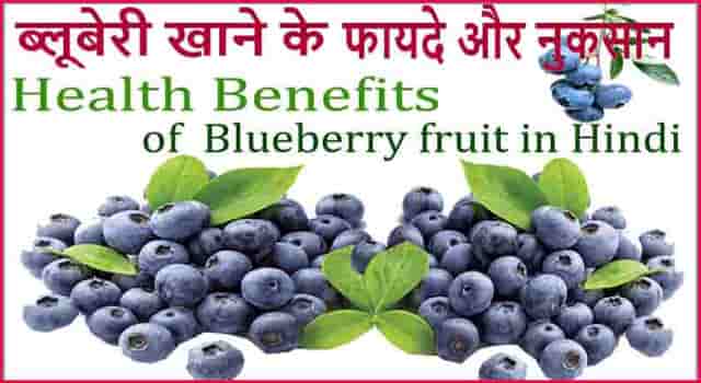 ब्लूबेरी फल खाने से मिलने वाले फायदे व औषधीय लाभ। Blueberry Fruit in Hindi.