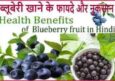 ब्लूबेरी फल खाने से होने वाले फायदे, औषधीय लाभ। Blueberry Ke Fayde, Nuksan.