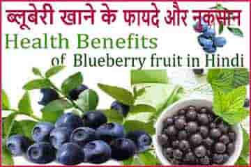 क्या आप जानते है ब्लूबेरी फल के फायदे, औषधीय लाभ। Blueberry Ke Fayde, Nuksan.