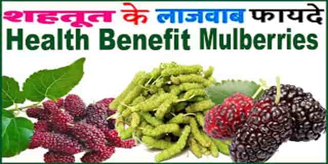 शहतूत खाने के फायदे व नुकसान क्या आप जानते है। Mulberry Benefits in Hindi.