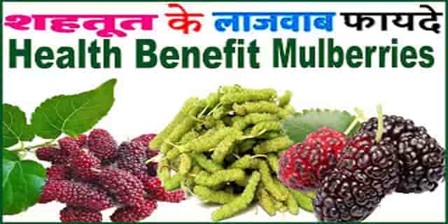 शहतूत खाने के फायदे व नुकसान क्या आप जानते है। Mulberry Benefits in Hindi. शहतूत खाने के फायदे व नुकसान क्या आप जानते है। Mulberry Benefits in Hindi.