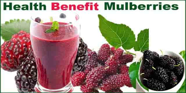 खट्टा- मीठा शहतूत खाने के फायदे - Mulberry HEALTH Benefits And Side Effects In Hindi. खट्टा- मीठा शहतूत खाने के फायदे - Mulberry HEALTH Benefits And Side Effects In Hindi.