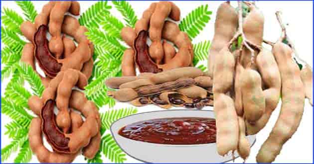 खट्टी- मीठी इमली खाने के फायदे - IMLI HEALTH Benefits And Side Effects In Hindi.