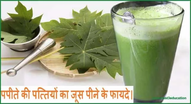 पपीता के पत्ते के जूस के फायदे