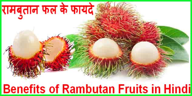 रामबुतान फल के फायदे, औषधीय गुण व नुकसान। Best Rambutan Fruits In Hindi.