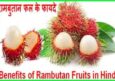 रामबुतान फल के फायदे, औषधीय गुण व नुकसान। Best Rambutan Fruits In Hindi.