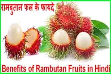 Rambutan Benefits, Uses and Side Effects in Hindi
