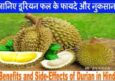 डूरियन फल के फायदे, औषधीय गुण व नुकसान। Best Durian Fruit In Hindi.