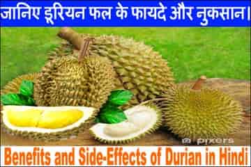 डूरियन फल के फायदे, औषधीय गुण व नुकसान। Best Durian Fruit In Hindi.