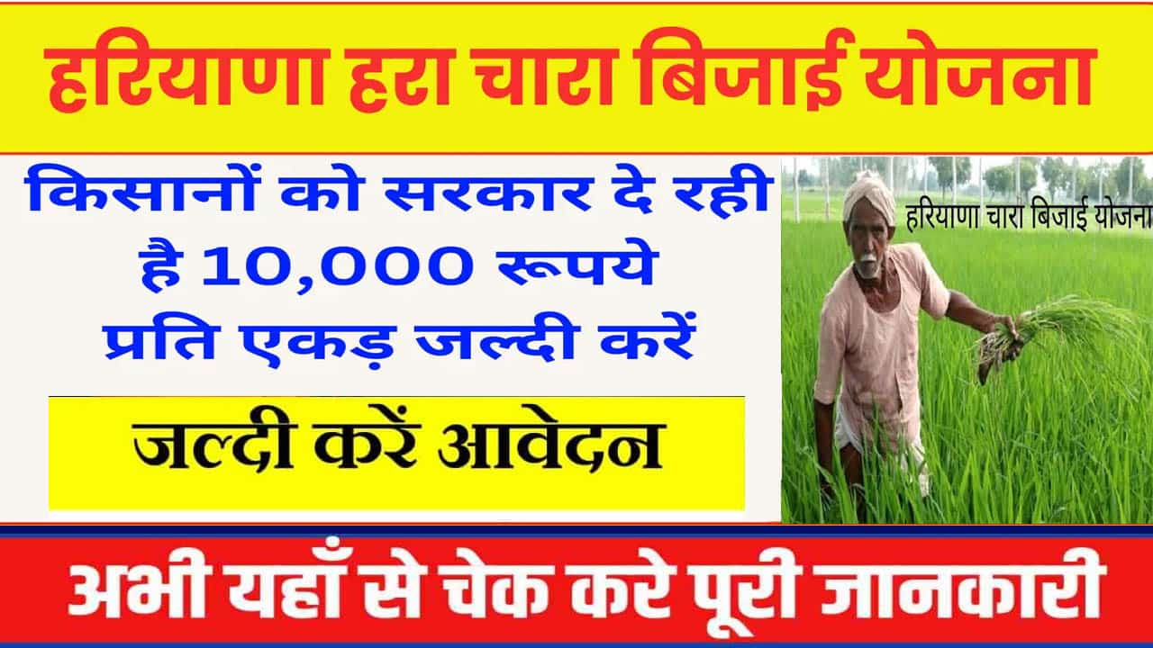 Haryana Chara Bijai Yojana 2025 आवेदन फॉर्म। हरियाणा चारा बिजाई योजना लाभ व पात्रता।
