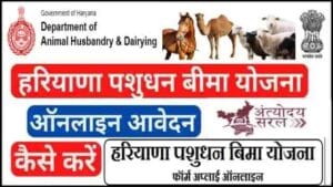 Haryana Pashudhan Bima Yojana-min