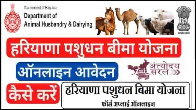 पशुधन बीमा योजना हरियाणा 2025 आवेदन। रजिस्ट्रेशन फॉर्म, दस्तावेज, पात्रता व लाभ ।