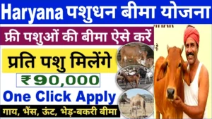 पशुधन बीमा योजना हरियाणा 2025 आवेदन। नया तरीका रजिस्ट्रेशन फॉर्म, दस्तावेज, पात्रता व लाभ । पशुधन बीमा योजना हरियाणा आवेदन। नया तरीका रजिस्ट्रेशन फॉर्म, दस्तावेज, पात्रता व लाभ ।