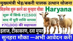 Mukhyamantri Bhed Bakri Palak Yojana Haryana 2025: बेरोज़गार युवाओं को फ्री में भेड़/बकरी यूनिट – सरकार दे रही ₹70,000 तक मदद! Mukhyamantri Bhed Bakri Palak Yojana Haryana बेरोज़गार युवाओं को फ्री में भेड़/बकरी यूनिट – सरकार दे रही ₹70,000 तक मदद!
