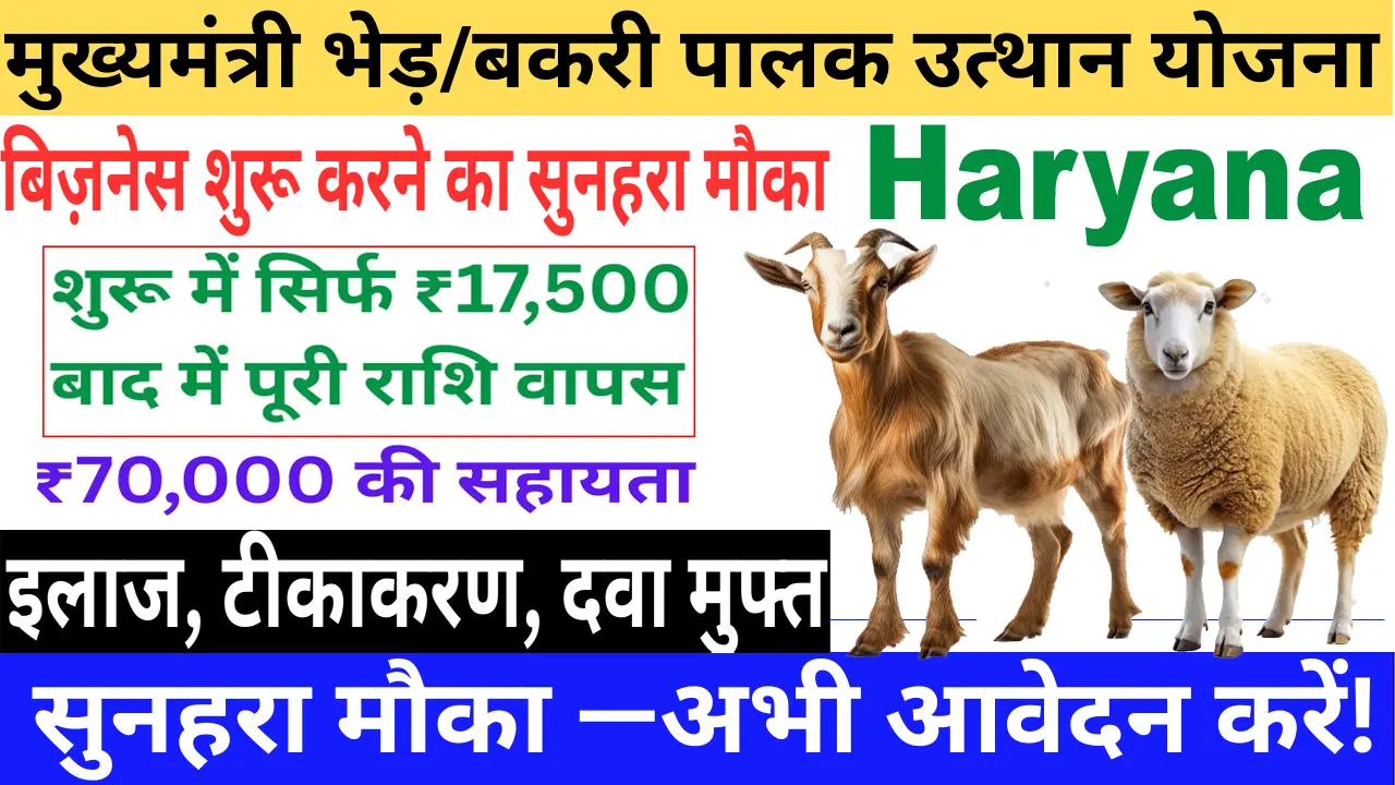 Mukhyamantri Bhed Bakri Palak Yojana Haryana  बेरोज़गार युवाओं को फ्री में भेड़/बकरी यूनिट – सरकार दे रही ₹70,000 तक मदद!