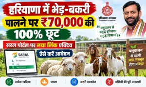 हरियाणा में भेड़-बकरी पालने पर ₹70,000 की 100% छूट! सरल पोर्टल पर खुला नया लिंक, ऐसे करें ऑनलाइन आवेदन Bhed Bakri Palak Uthan Yojana Haryana बिना जेब खर्च किए शुरू करें 10+1 यूनिट, सरकार देगी पूरे ₹70,000 की सब्सिडी